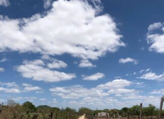 Caminho de Dependência e Chamado: Reflexão sobre Missões e Aspiração Missionária