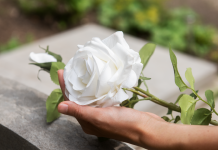 Quando o silêncio acompanha o cortejo